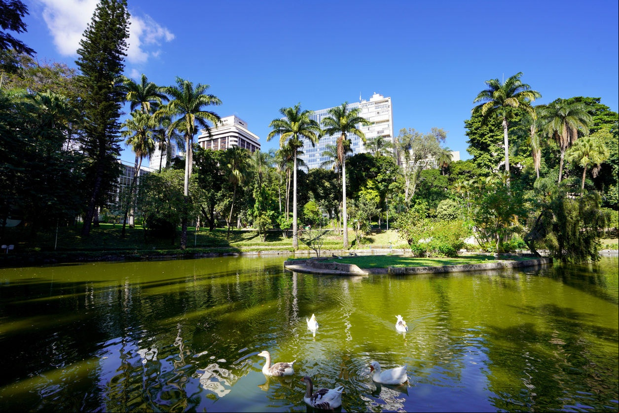 Belo Horizonte já foi conhecida em todo o país como a "cidade jardim"